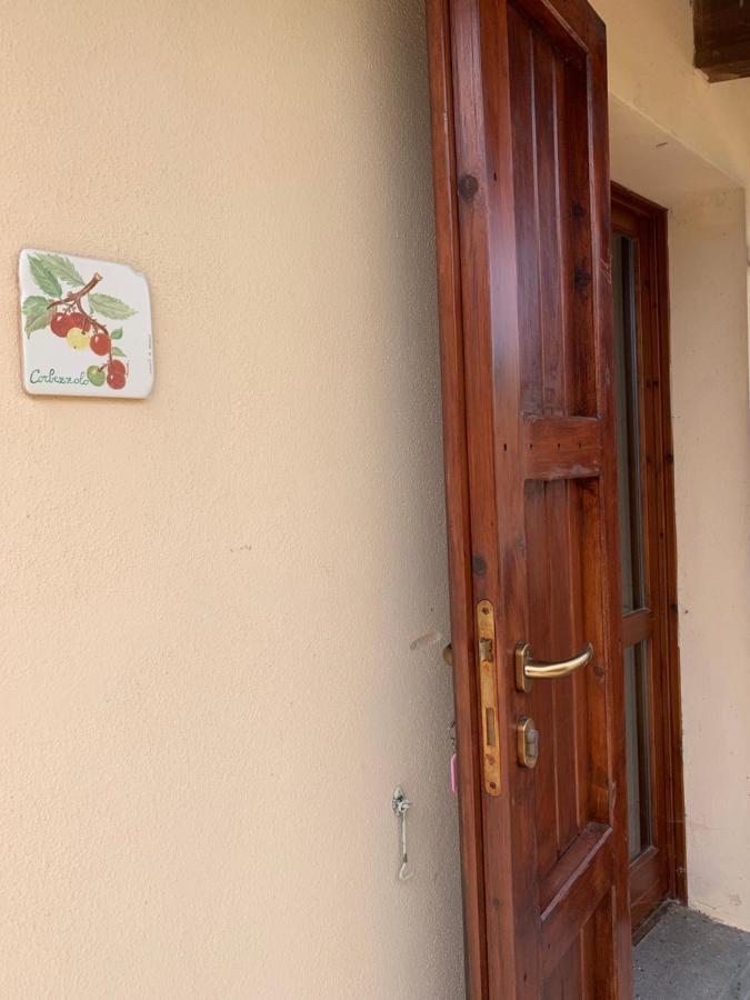 Agriturismo Terra Noas Villaurbana Extérieur photo